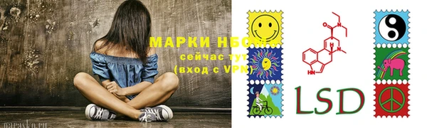 амф Корсаков