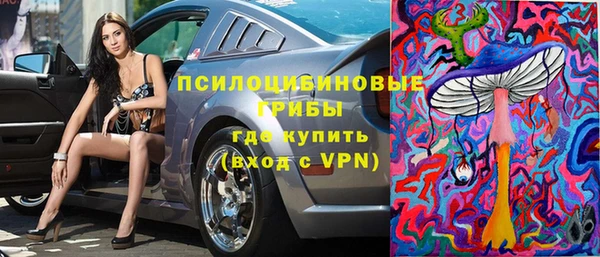 твердый Костерёво