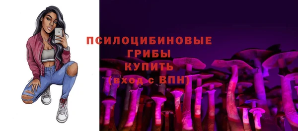 амф Корсаков