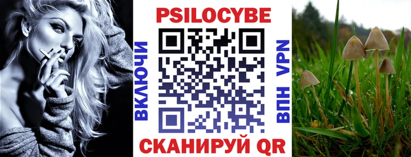Псилоцибиновые грибы ЛСД  kraken как зайти  Медвежьегорск  дарк нет наркотические препараты  хочу  