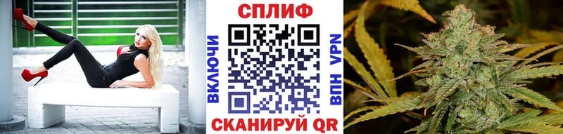 Бошки Шишки планчик Медвежьегорск